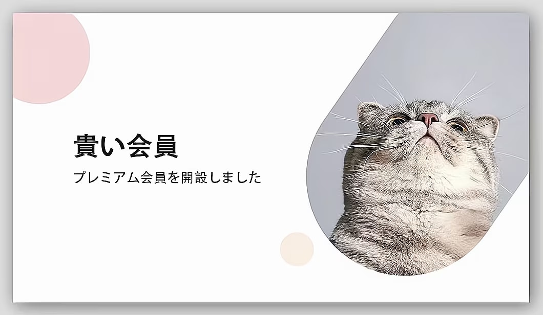 メンバーシップのトップ画像