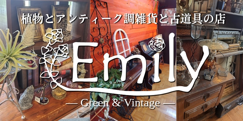 メンバーシップのトップ画像