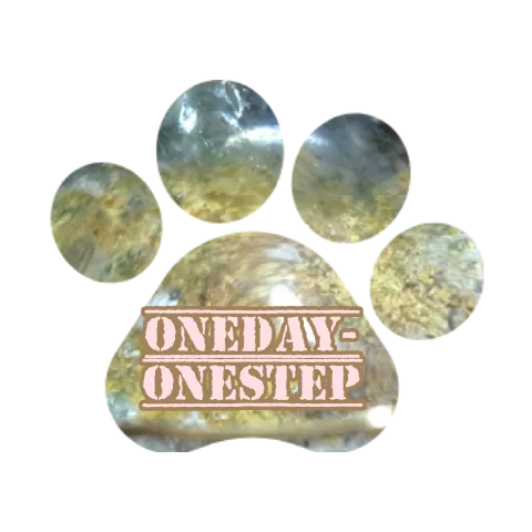 メンバーシップのトップ画像