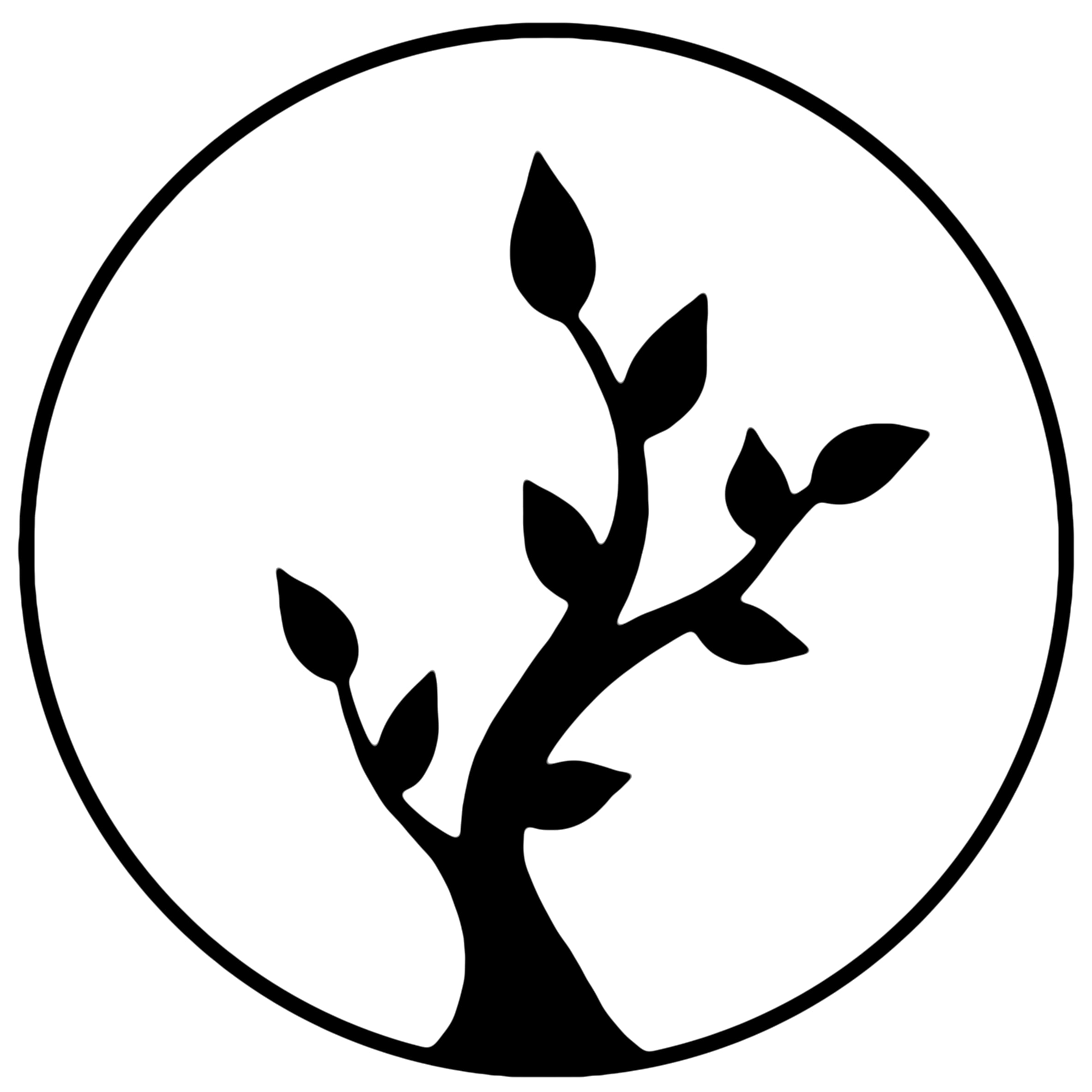 メンバーシップのトップ画像