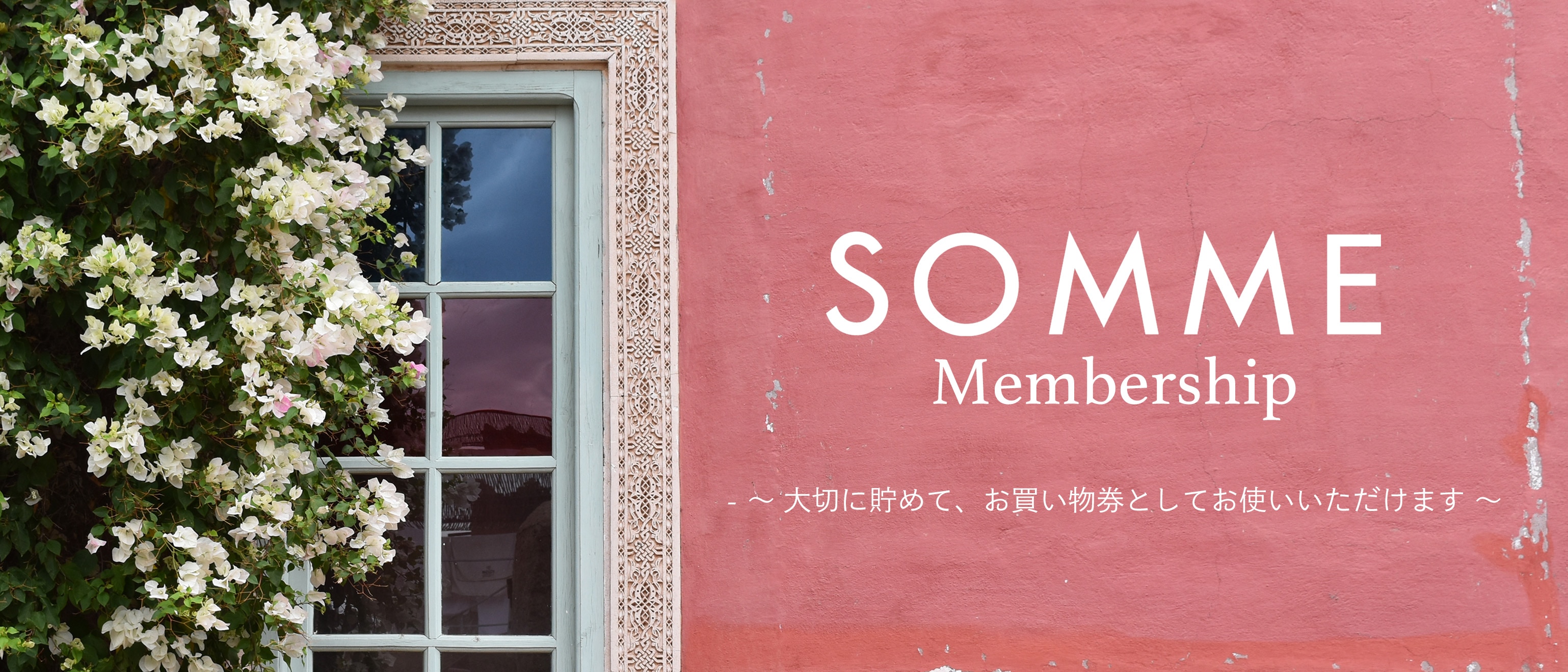 メンバーシップのトップ画像