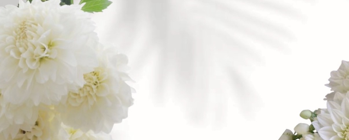 メンバーシップのトップ画像