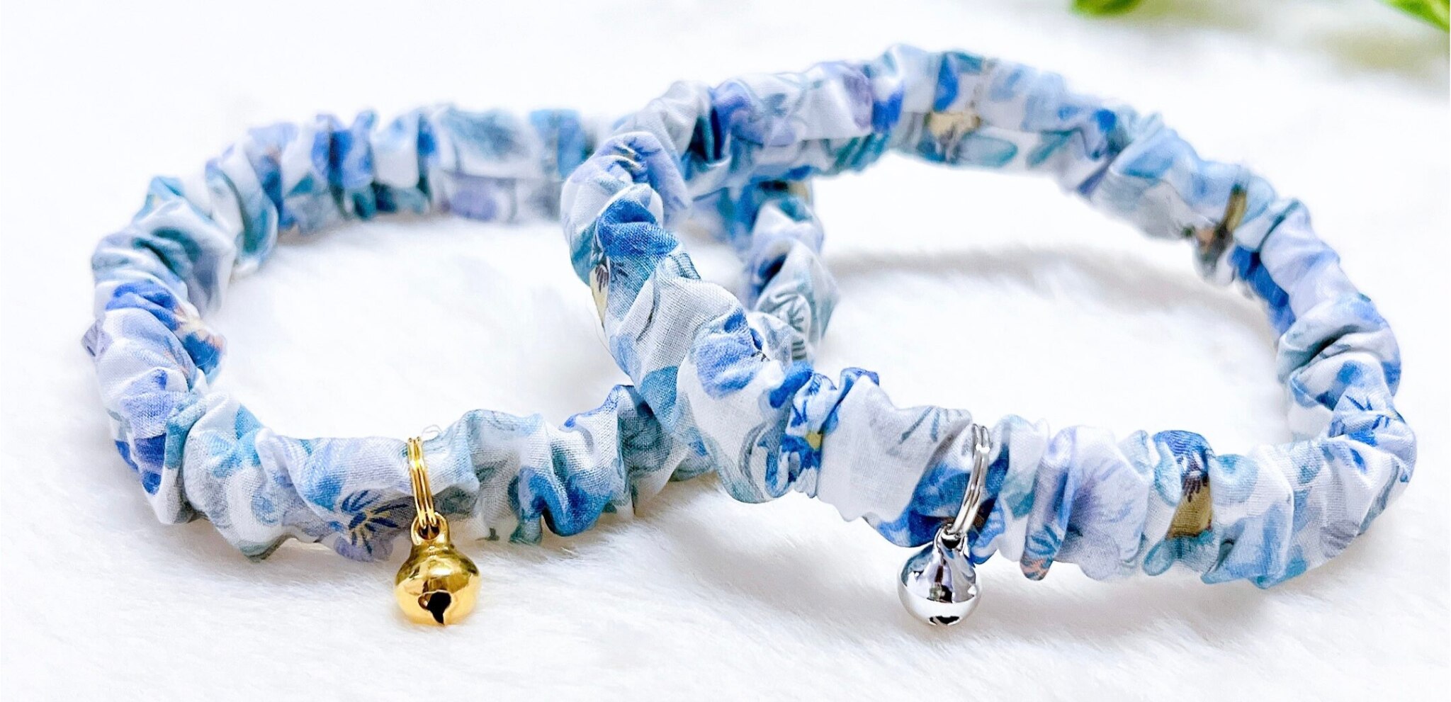 メンバーシップのトップ画像