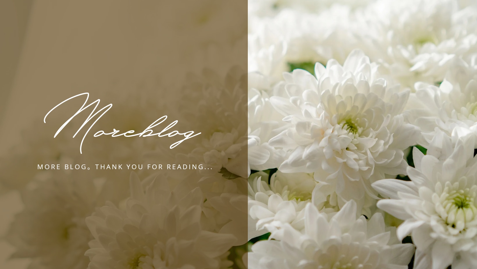 メンバーシップのトップ画像