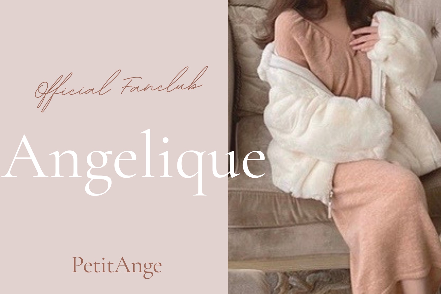 メンバーシップのトップ画像