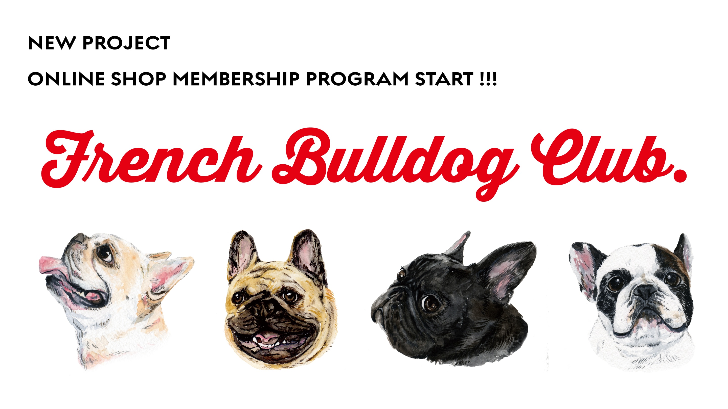 メンバーシップのトップ画像