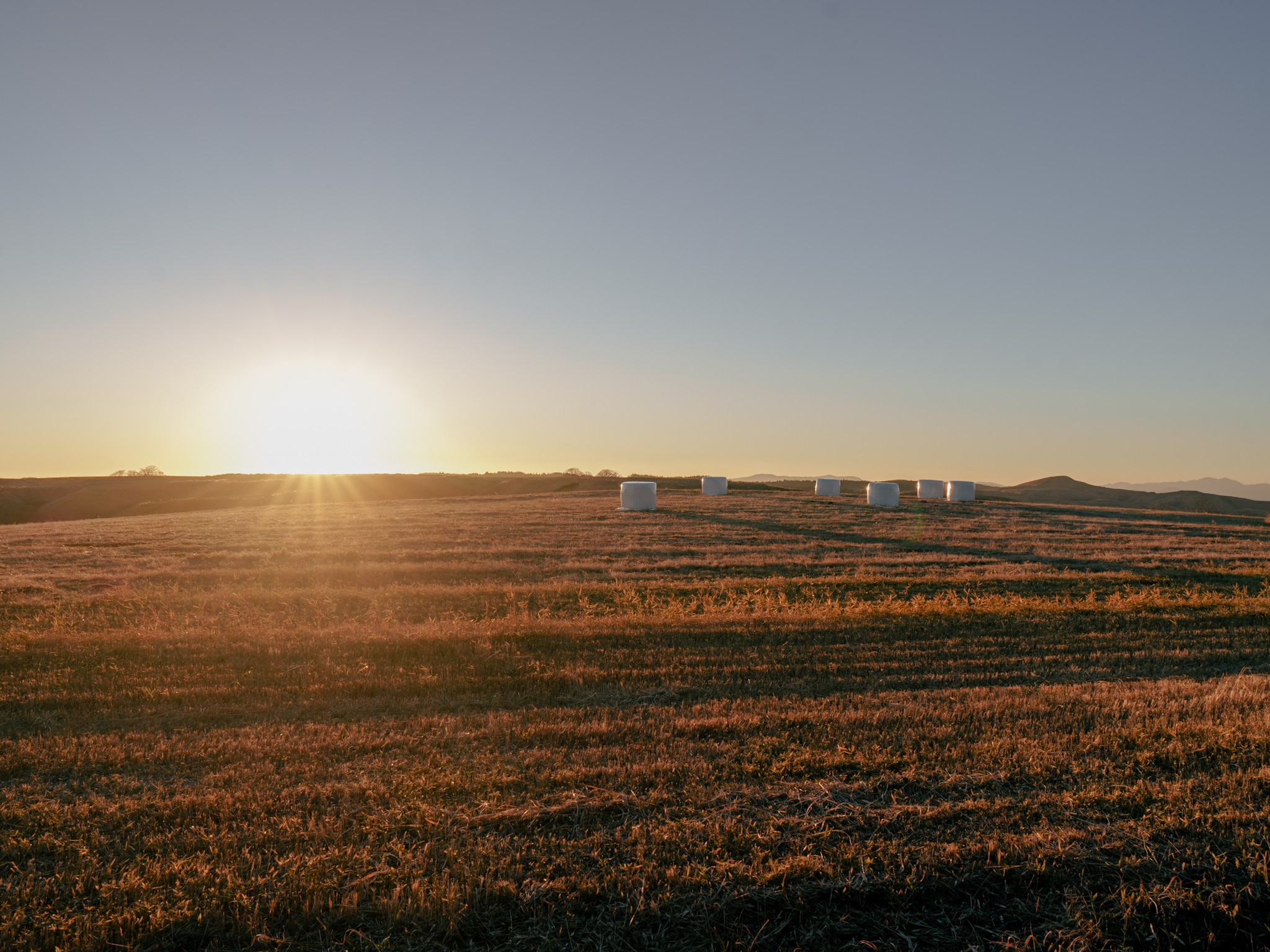 メンバーシップのトップ画像