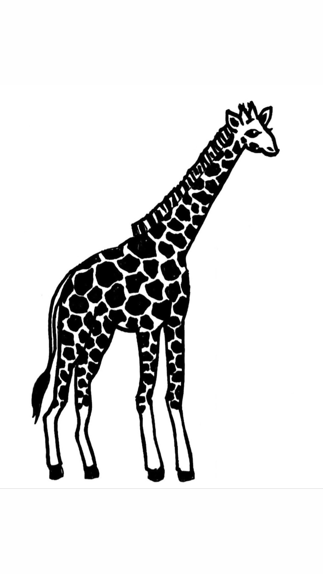 メンバーシップのトップ画像