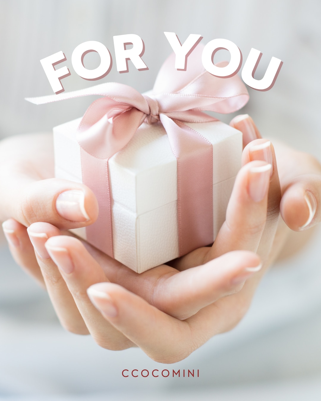 メンバーシップのトップ画像