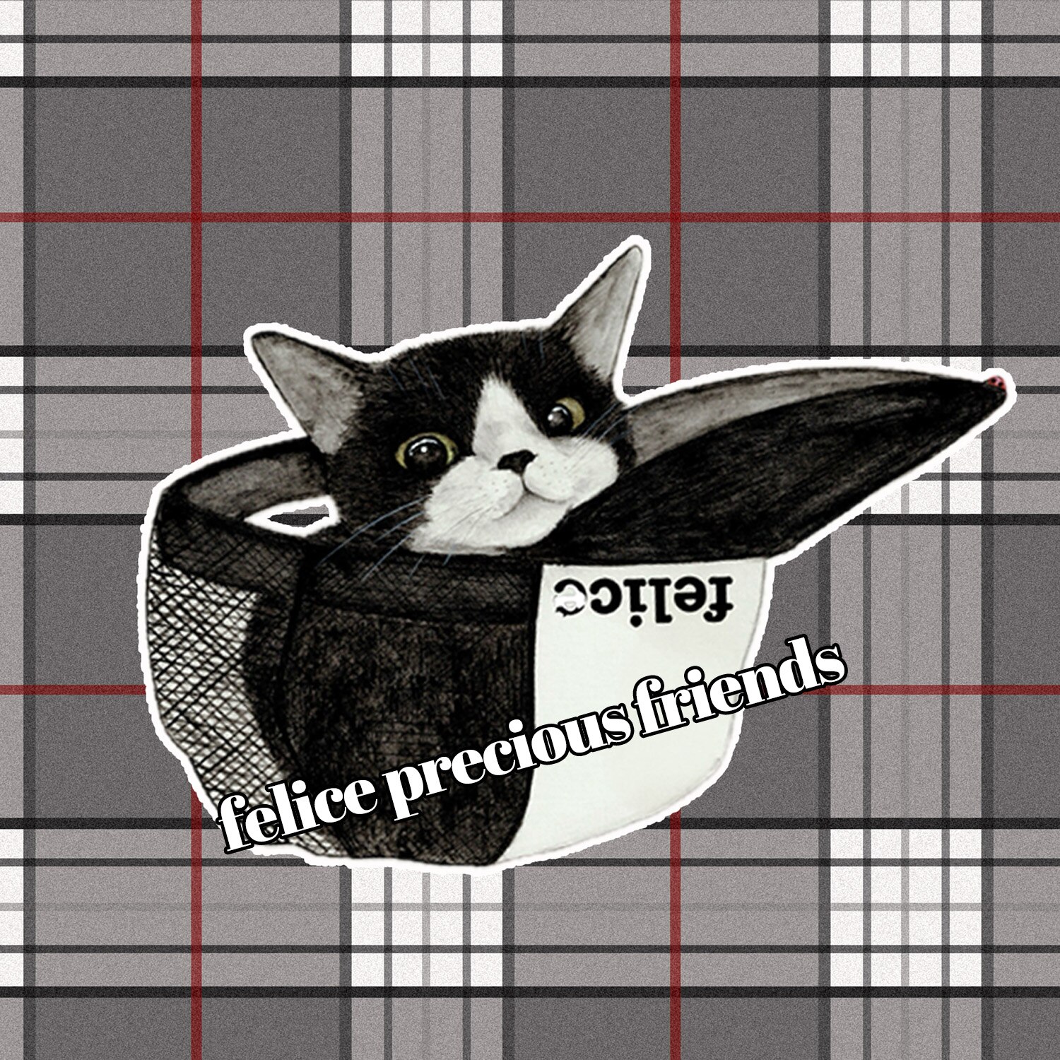 メンバーシップのトップ画像