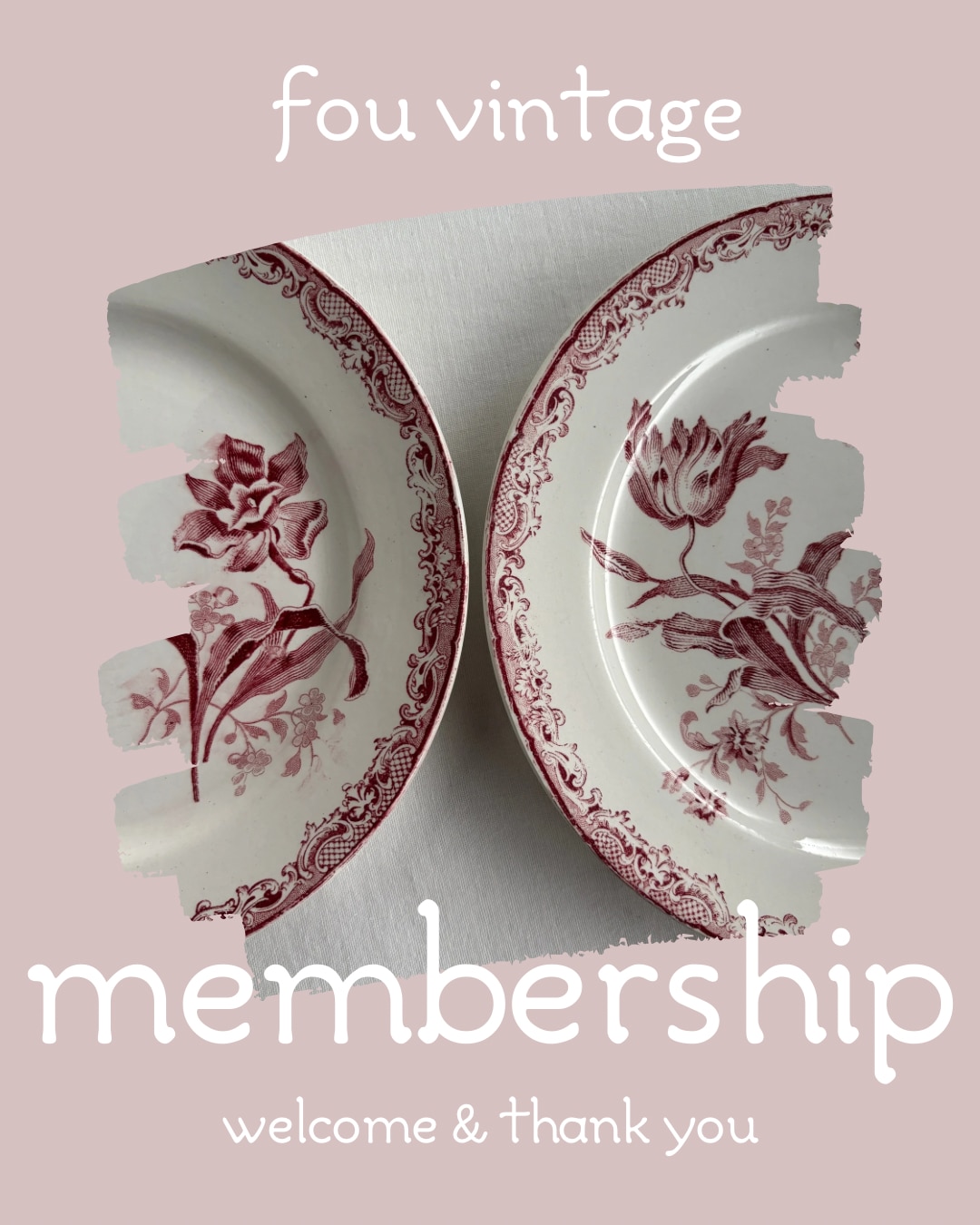 メンバーシップのトップ画像