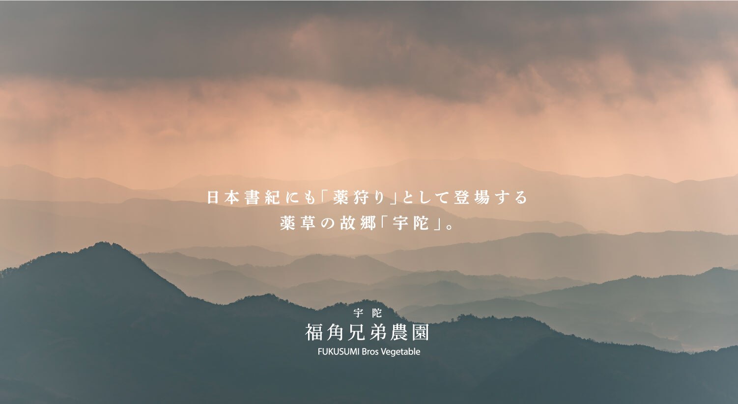 メンバーシップのトップ画像