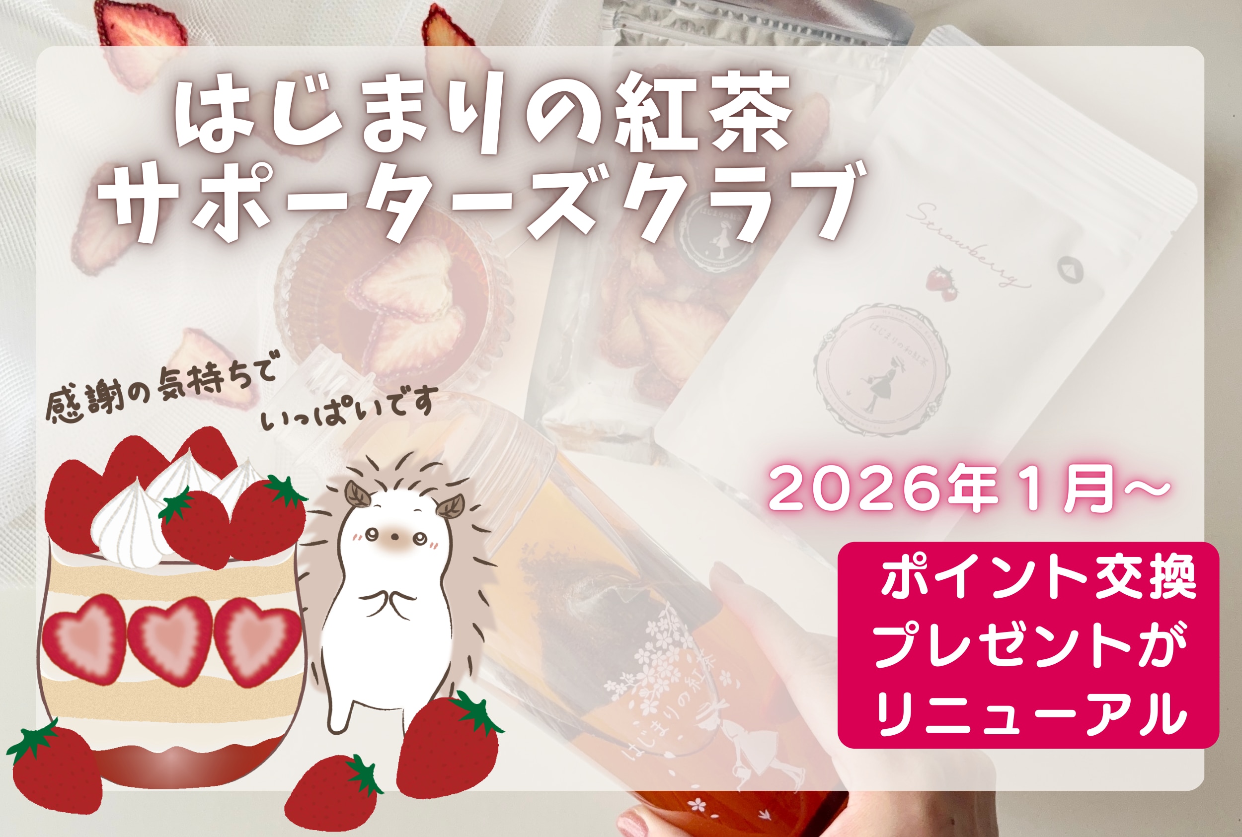 メンバーシップのトップ画像