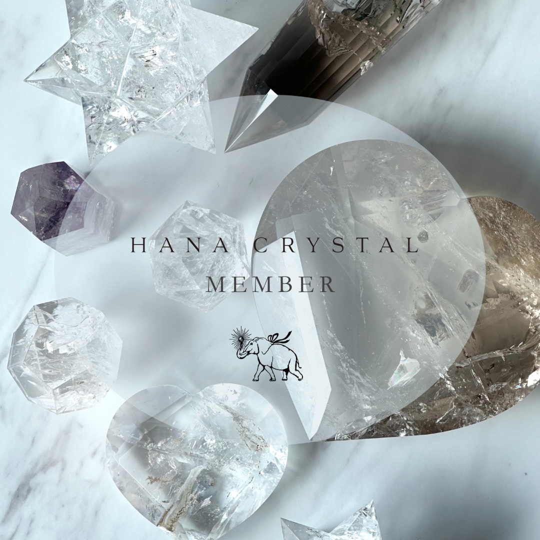 メンバーシップのトップ画像