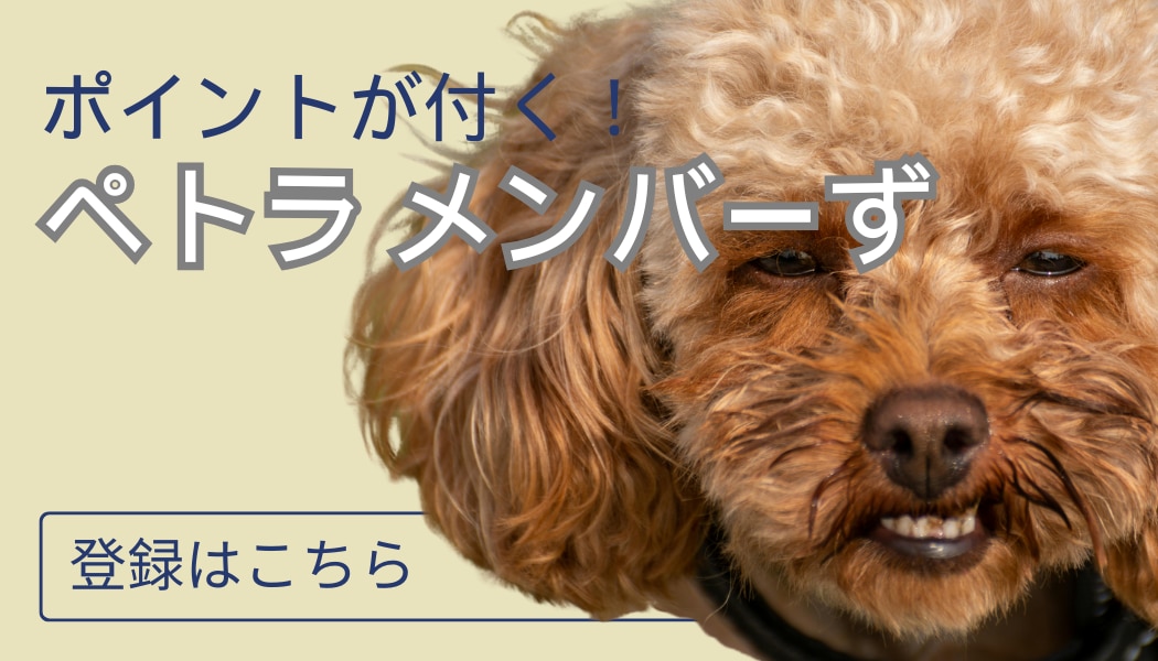 メンバーシップのトップ画像