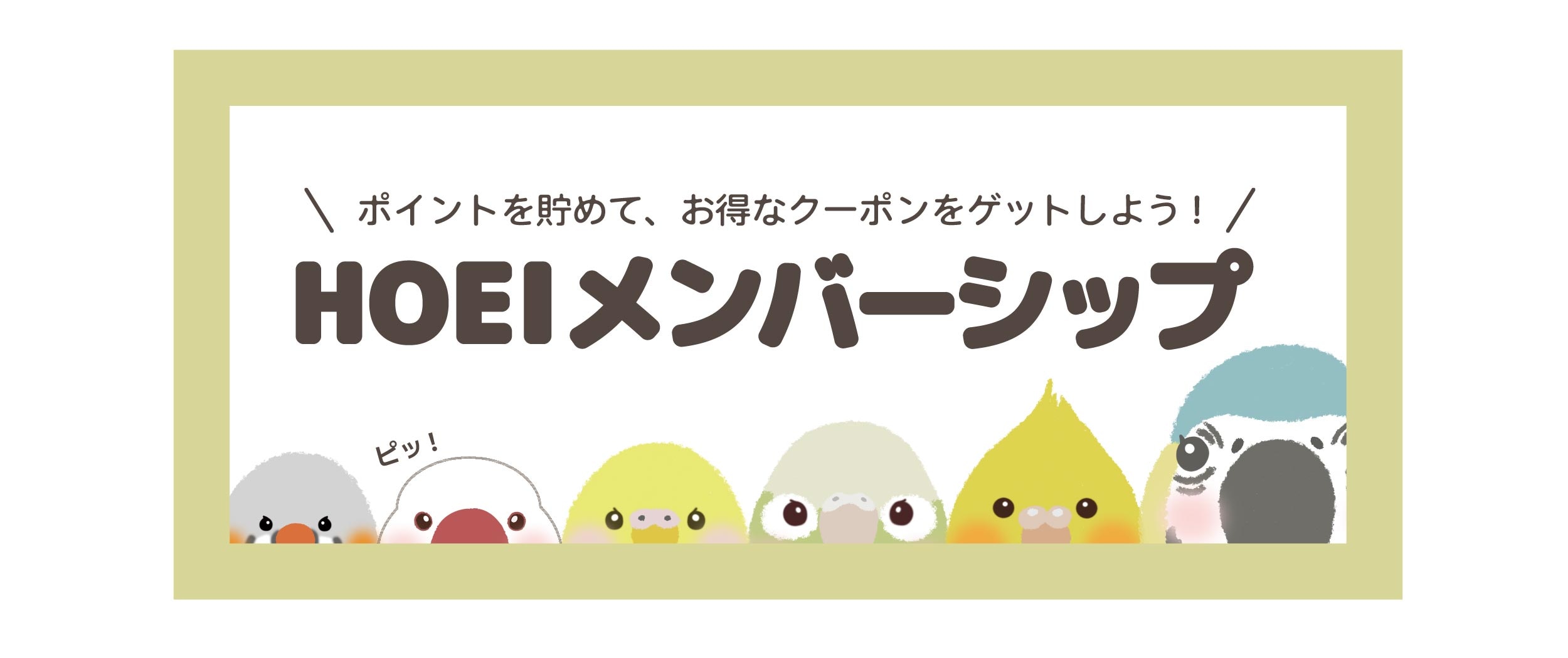 メンバーシップのトップ画像