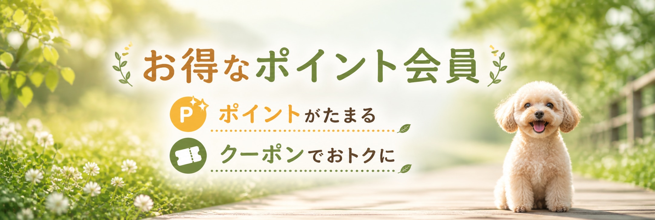 メンバーシップのトップ画像