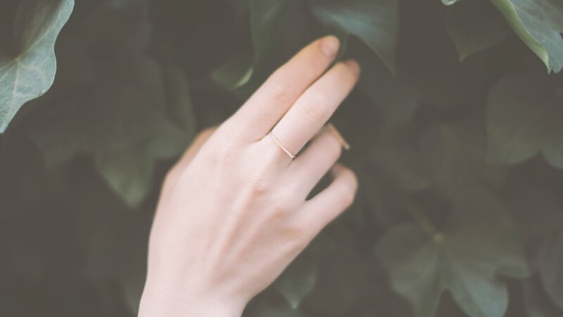 メンバーシップのトップ画像