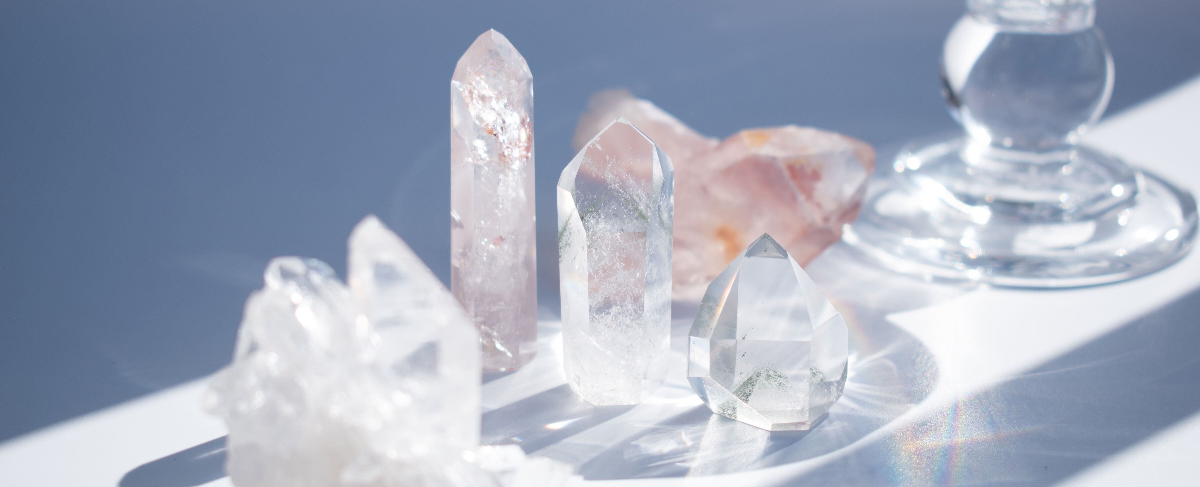 メンバーシップのトップ画像