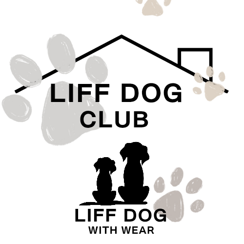 メンバーシップのトップ画像