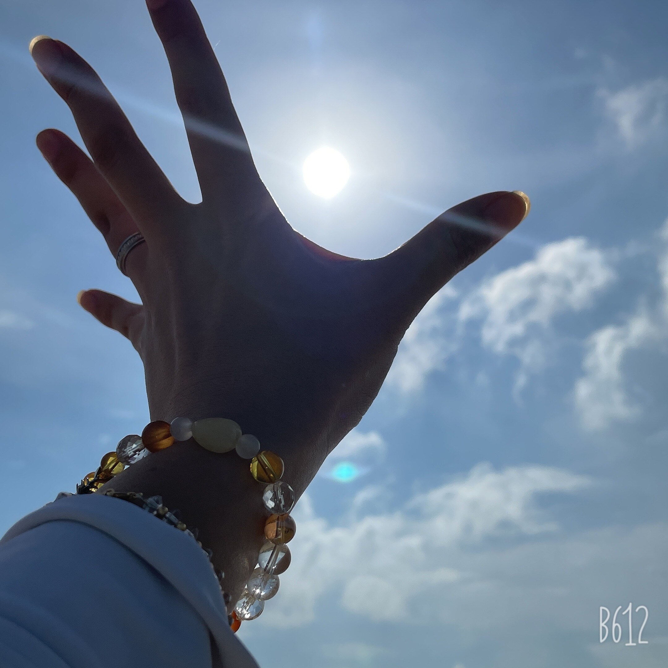 メンバーシップのトップ画像