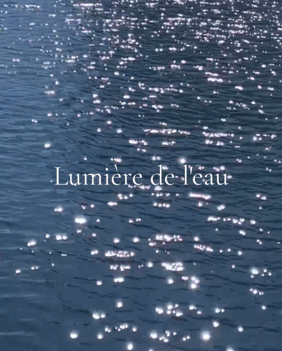 メンバーシップのトップ画像