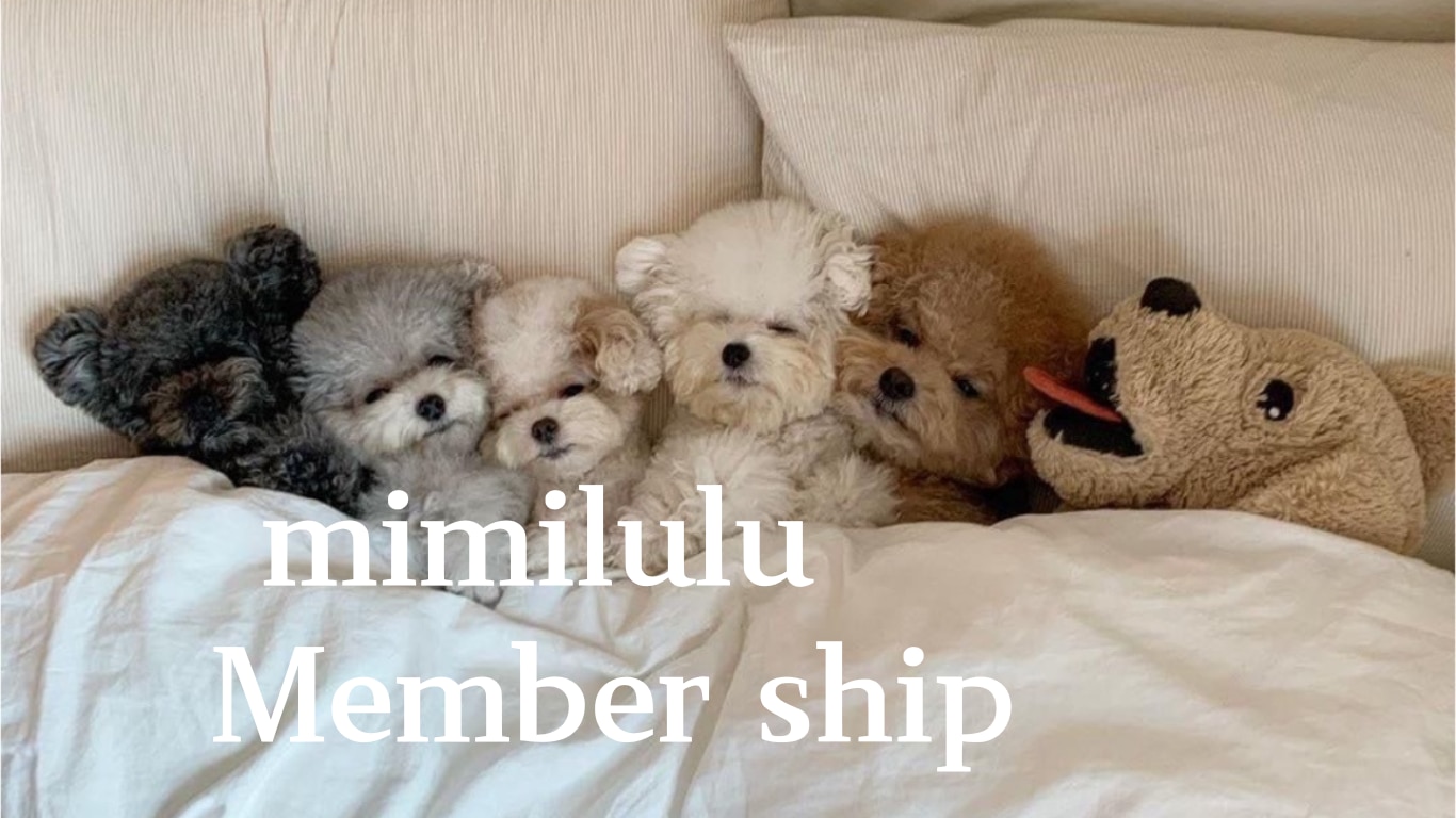 メンバーシップのトップ画像