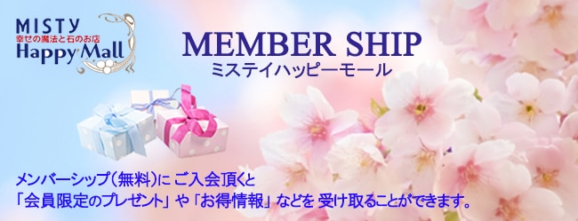 メンバーシップのトップ画像