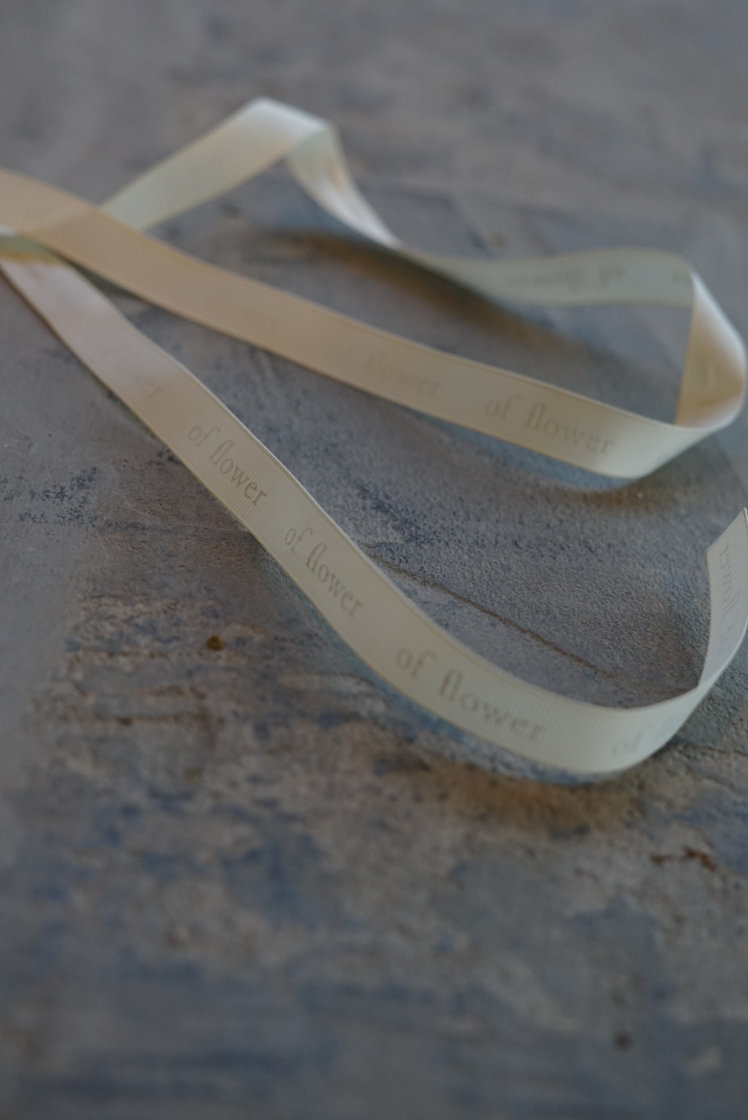 メンバーシップのトップ画像