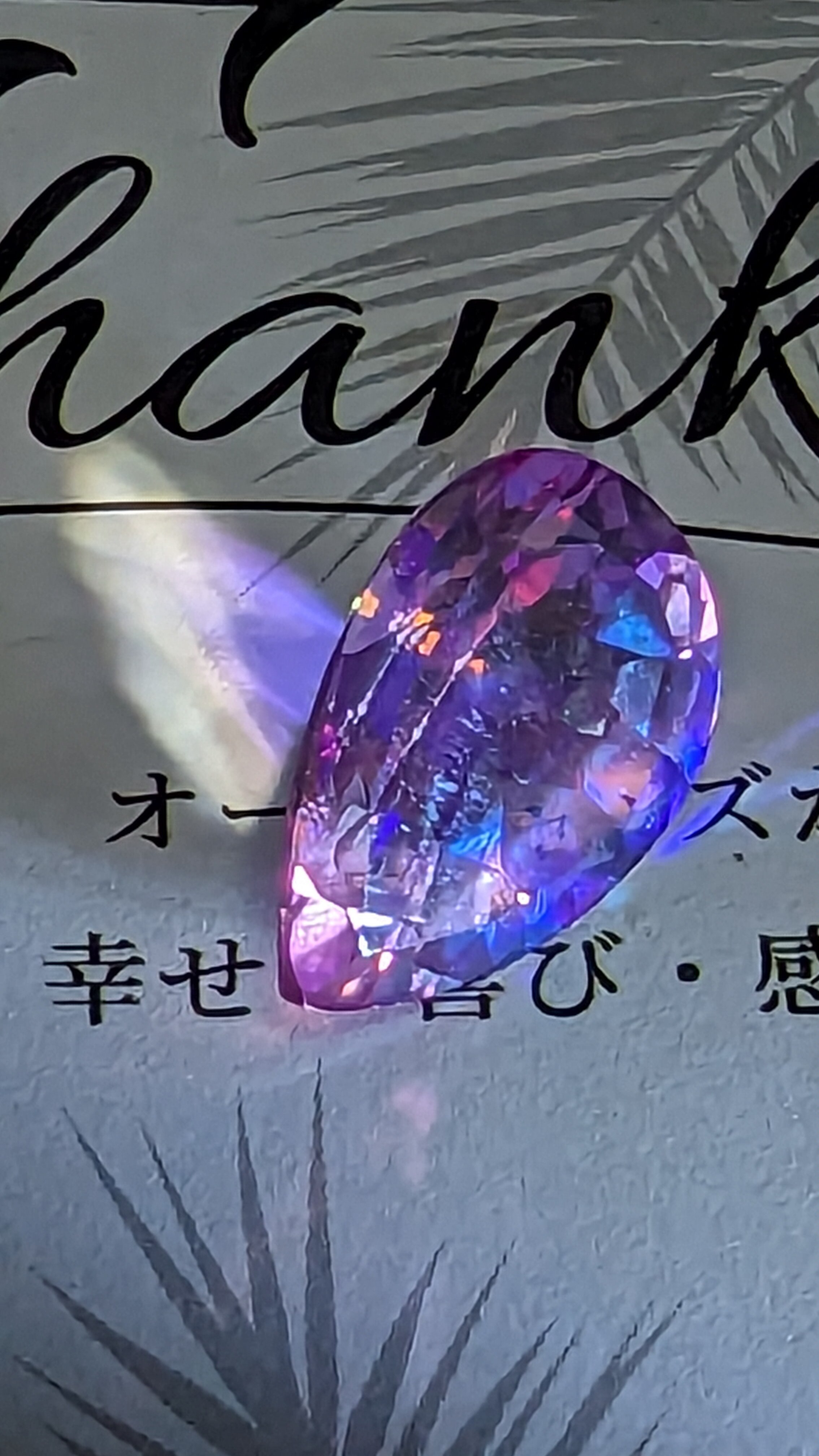 メンバーシップのトップ画像