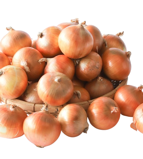 メンバーシップのトップ画像