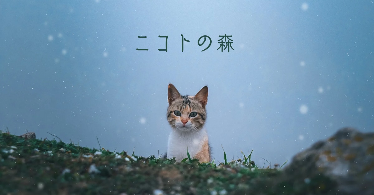 メンバーシップのトップ画像