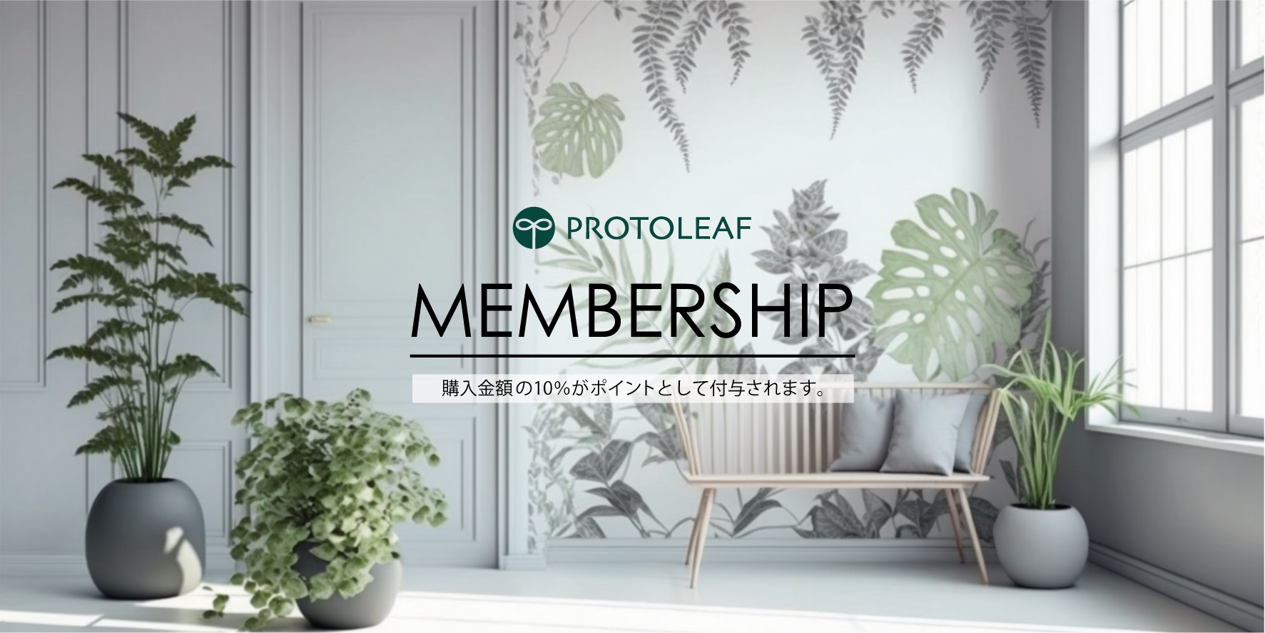 メンバーシップのトップ画像