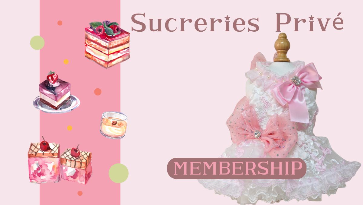 メンバーシップのトップ画像