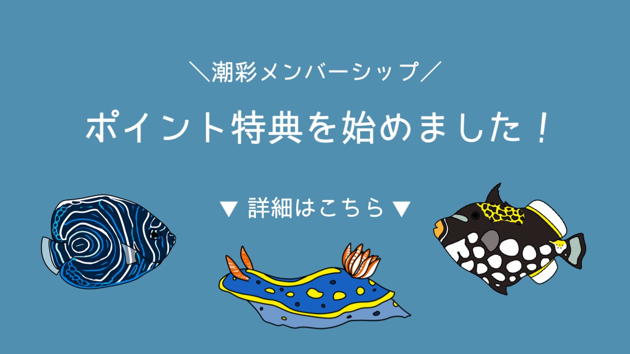 メンバーシップのトップ画像