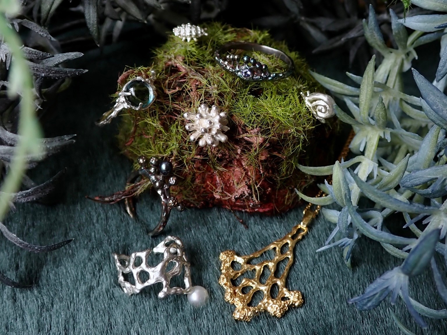 メンバーシップのトップ画像