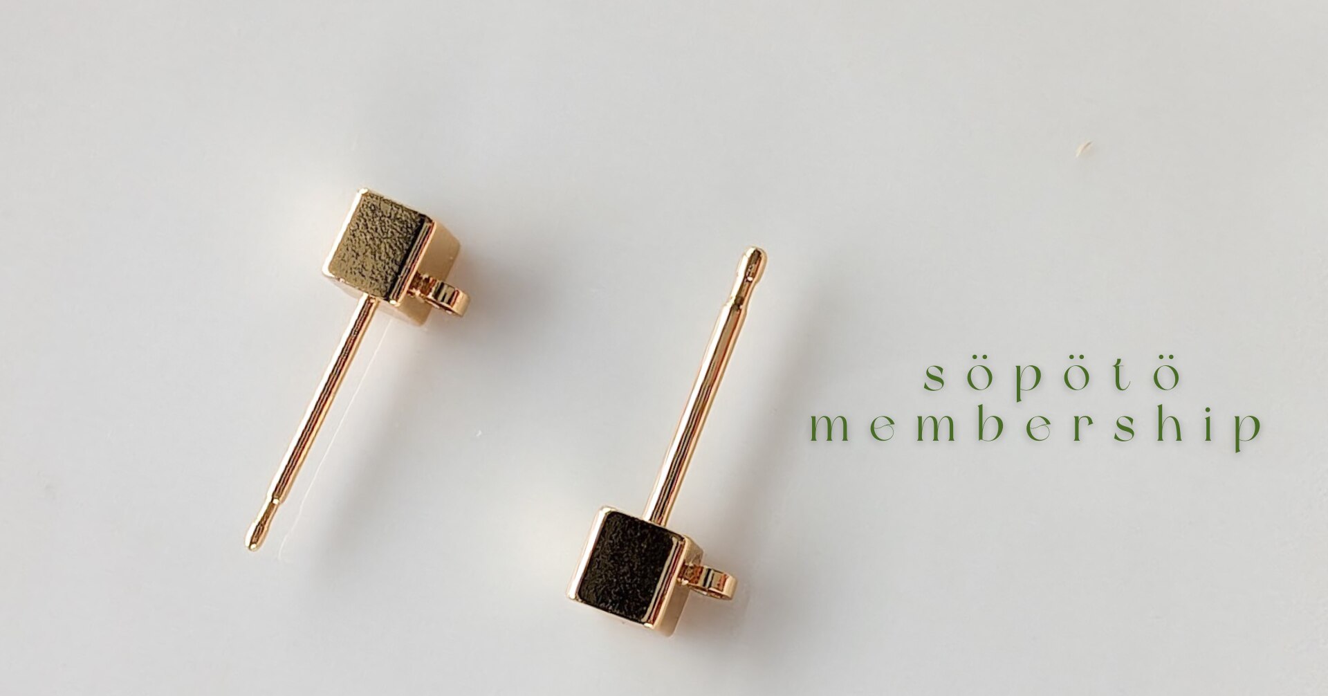 メンバーシップのトップ画像