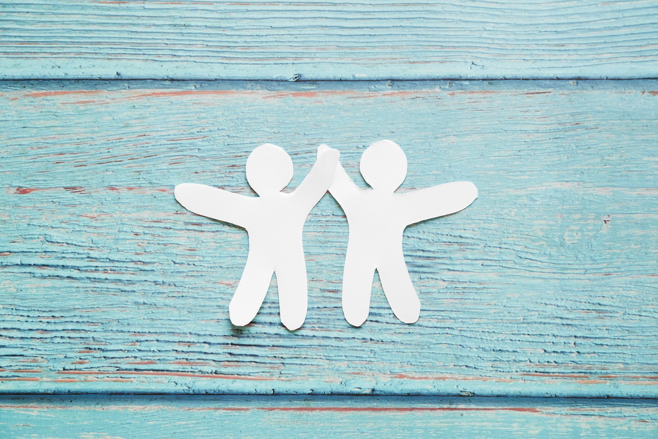 メンバーシップのトップ画像