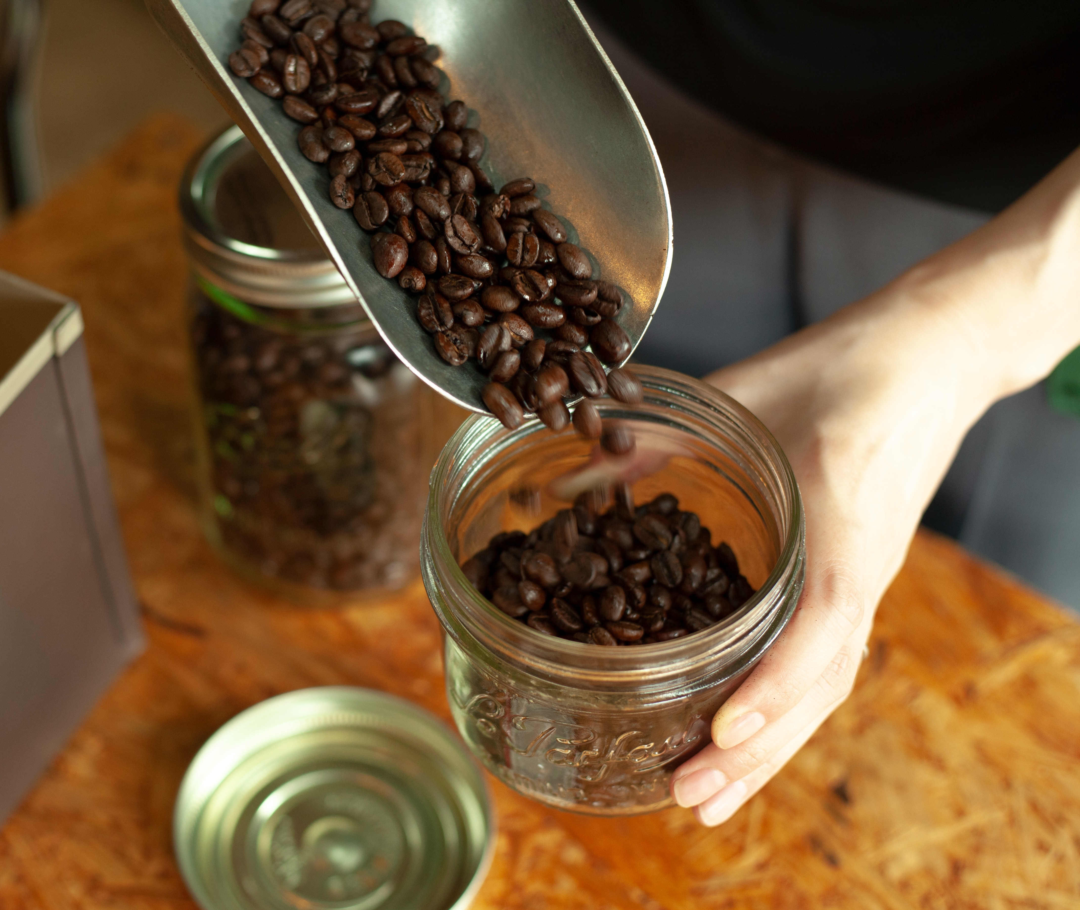 メンバーシップのトップ画像