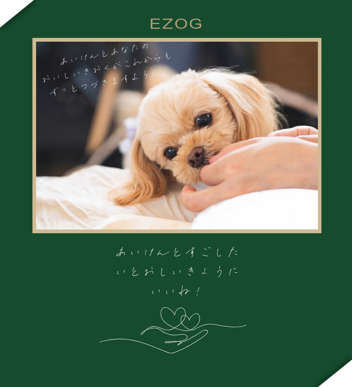 メンバーシップのトップ画像