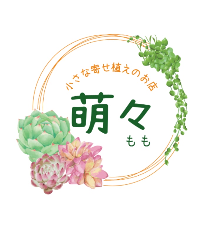 メンバーシップのトップ画像